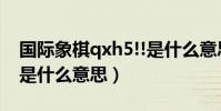 國際象棋qxh5!!是什么意思(國際象棋的kq是什么意思)