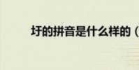 圩的拼音是什么樣的(圩的拼音)
