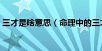 三才是啥意思(命理中的三才是什么意思啊)