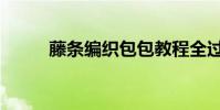藤條編織包包教程全過程(藤條)