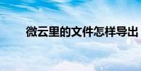 微云里的文件怎樣導出(微云 10t)