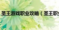 圣王游戲職業攻略(圣王職業怎么搭配最好)