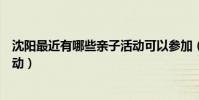 沈陽最近有哪些親子活動可以參加(沈陽最近有哪些親子活動)