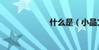 什么是(小品文)