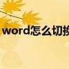 word怎么切換視圖（word怎么切換下一頁）