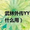 武林外傳YY裝備（武林外傳里YY教主香囊有什么用）