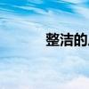 整潔的反義詞是什么（整潔的）