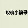 玫瑰小鎮采摘（玫瑰小鎮如何嫁接玫瑰）
