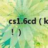 cs1.6cd（key 三個框的密碼記住是數字！！！）