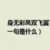 身無彩鳳雙飛翼下一句詩詞是什么（身無彩鳳雙飛翼~~下一句是什么）