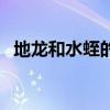 地龍和水蛭的區別（暴龍水蛭有什么特點）
