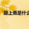 鼓上蚤是什么意思啊（鼓上蚤是什么意思）