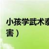 小孩學武術泰拳跆拳道（泰拳和跆拳道哪個厲害）
