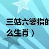 三姑六婆指的是什么關系（三姑六婆指的是什么生肖）