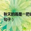 秋天的雨是一把鑰匙仿寫暗喻句（秋天的雨是一把鑰匙仿寫句子）