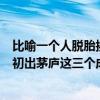 比喻一個人脫胎換骨是好的開始的成語（鐘愛有加脫胎換骨初出茅廬這三個成語的解釋）