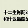 十二生肖配對指數表（十二生肖配對指數什么和什么最般配）