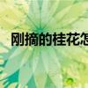 剛摘的桂花怎么弄（剛摘的桂花怎么處理）