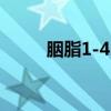 胭脂1-42集（胭脂一共有多少集）