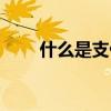 什么是支付令（什么是支付寶卡通）