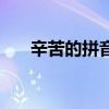 辛苦的拼音怎么拼寫的（辛苦的拼音）
