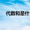 代數和是什么意思（代數和是什么意思）