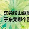 東莞松山湖屬于東莞什么鎮區（東莞松山湖屬于東莞哪個區）