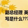 副總經理 英文縮寫（請問副總經理的英文縮寫是什么???）