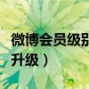 微博會員級別怎么升（新浪微博會員等級怎么升級）