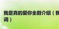 我是真的愛你全劇介紹(我是真的愛你全部歌詞)