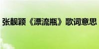 張靚穎《漂流瓶》歌詞意思(表達什么感情)