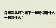 身無彩鳳雙飛翼下一句詩詞是什么(身無彩鳳雙飛翼~~下一句是什么)