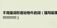 不用量詞形容動物牛的詞(描寫狐貍,大象,牛的詞語急!!!!!!!!!!!!!!!!!!!)