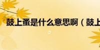 鼓上蚤是什么意思啊(鼓上蚤是什么意思)