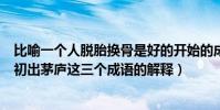 比喻一個人脫胎換骨是好的開始的成語(鐘愛有加脫胎換骨初出茅廬這三個成語的解釋)