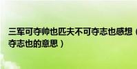 三軍可奪帥也匹夫不可奪志也感想(三軍可奪帥也匹夫不可奪志也的意思)