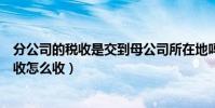 分公司的稅收是交到母公司所在地嗎(母公司與分公司的稅收怎么收)
