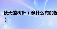 秋天的樹葉(像什么有的像什么還有的像什么)