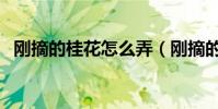 剛摘的桂花怎么弄(剛摘的桂花怎么處理)