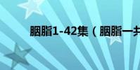 胭脂1-42集(胭脂一共有多少集)