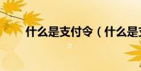 什么是支付令(什么是支付寶卡通)