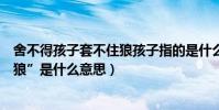 舍不得孩子套不住狼孩子指的是什么(“舍不得孩子套不住狼”是什么意思)