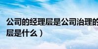 公司的經理層是公司治理的中心(公司的治理層是什么)