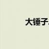 大錘子二錘子判了沒（大錘子）