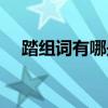 踏組詞有哪些詞語（踏組詞有哪些詞語）