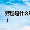 劈腿是什么意思女生說的（劈腿是什么意思?）