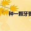 種一顆牙要多少錢（種植牙齒貴不貴）