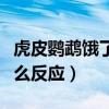 虎皮鸚鵡餓了有什么反應（虎皮鸚鵡餓了有什么反應）