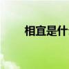 相宜是什么詞性（相宜是什么意思）