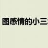 圖感情的小三怎么勸退（女子網聊勸退小三）